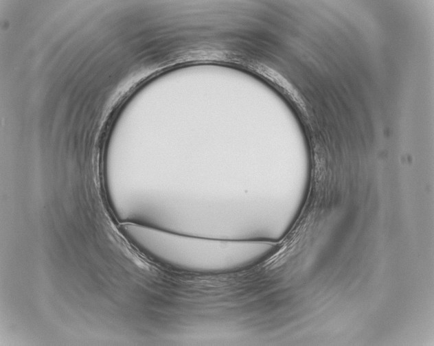 X0000070381035200607072149