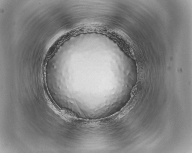 X0000070381038200607072149