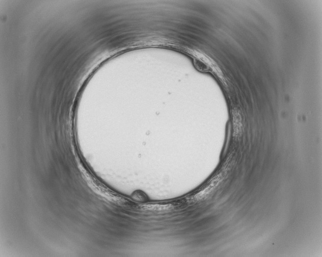 X0000070381039200607072149