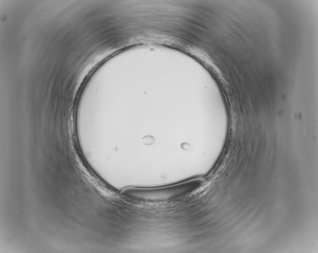 X0000070381040200607072149