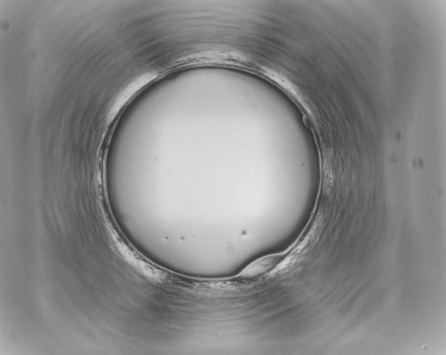 X0000070381042200607072149