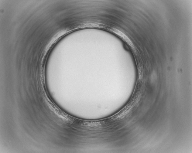 X0000070381043200607072149