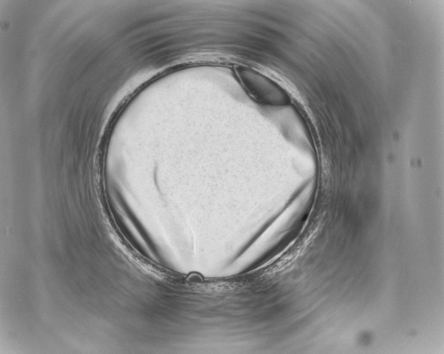 X0000070381045200607072149