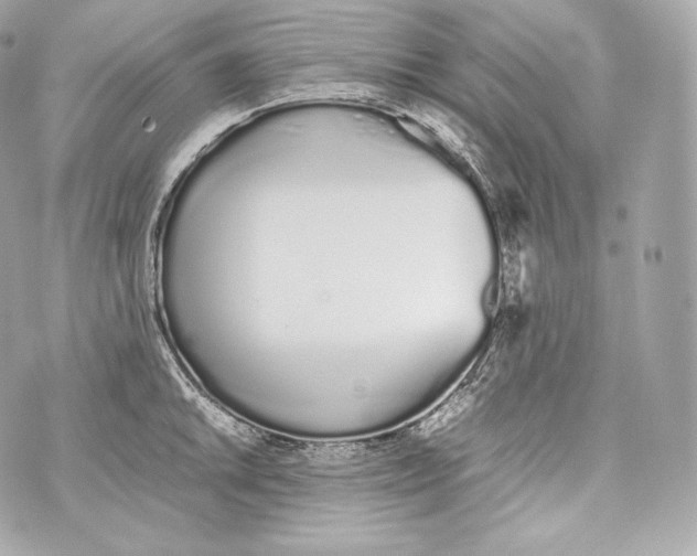 X0000070381046200607072149