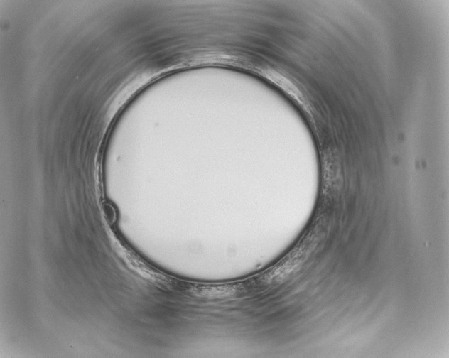 X0000070381047200607072149