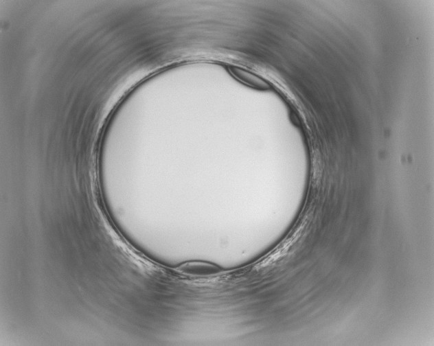 X0000070381048200607072149