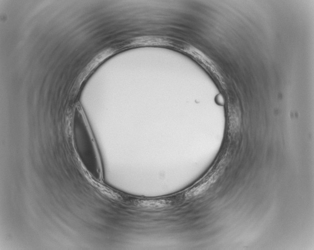 X0000070381049200607072149