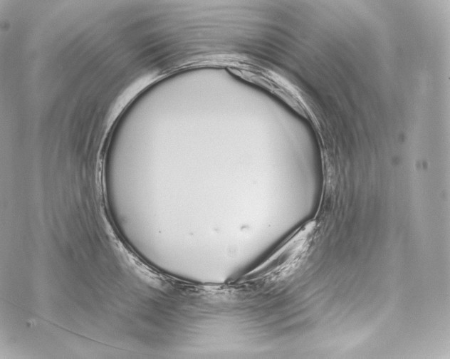 X0000070381050200607072149