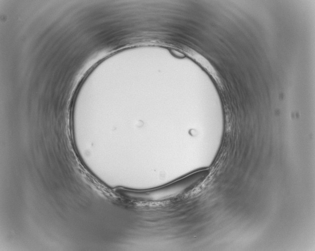 X0000070381051200607072149