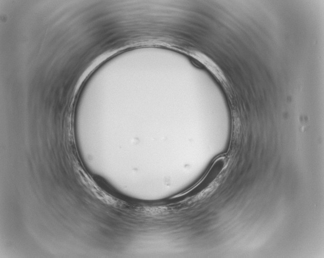 X0000070381052200607072149