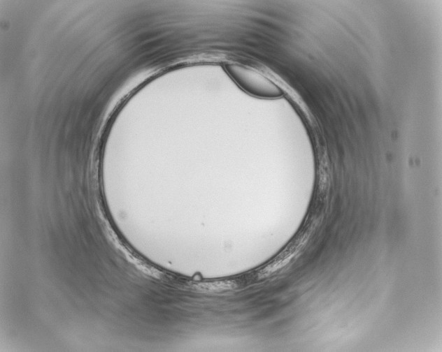 X0000070381053200607072149