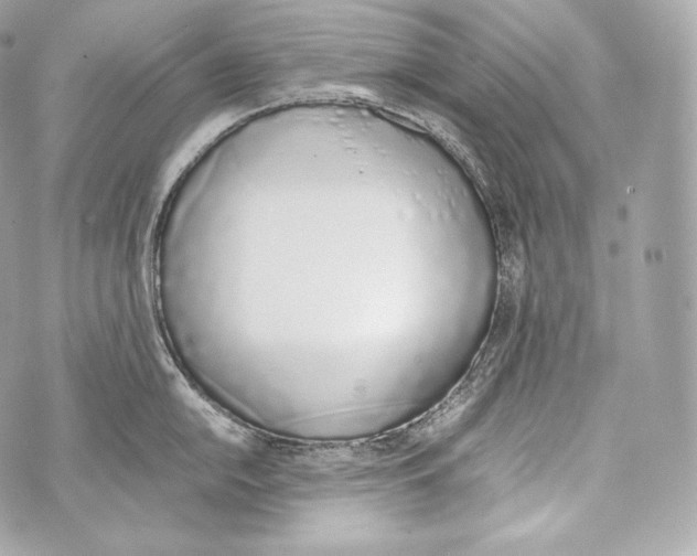 X0000070381054200607072149