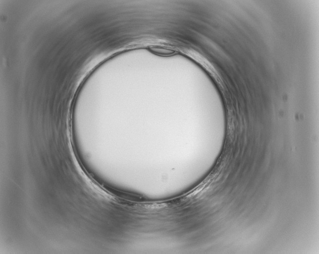 X0000070381055200607072149