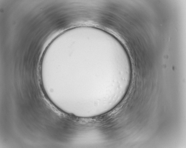 X0000070381056200607072149