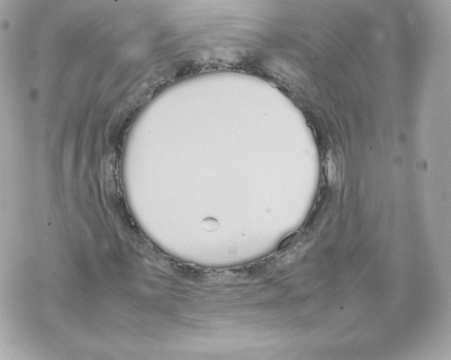 X0000070381059200607072148