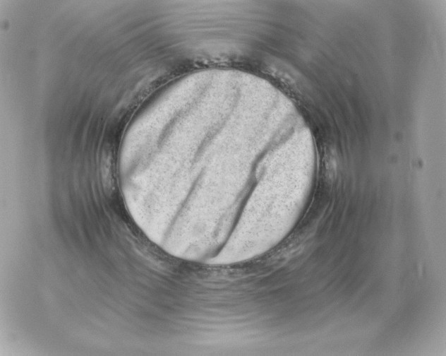 X0000070381060200607072148