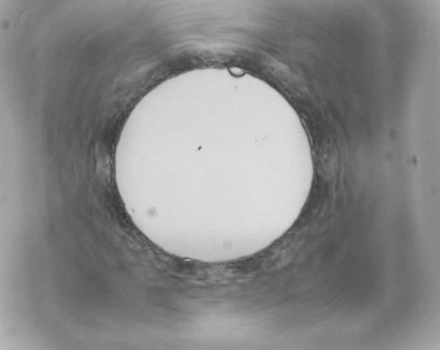 X0000070381061200607072148