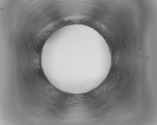 X0000070381062200607072148