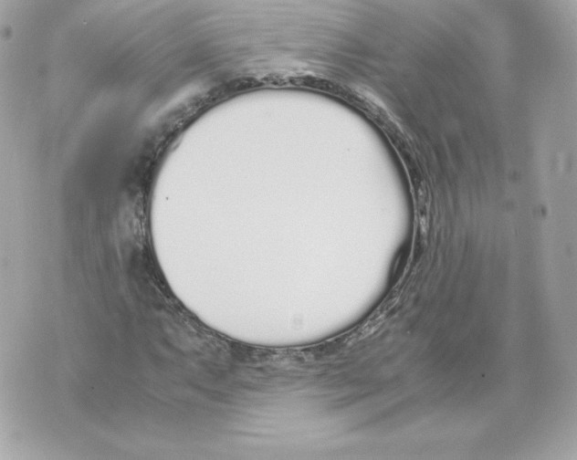 X0000070381063200607072148