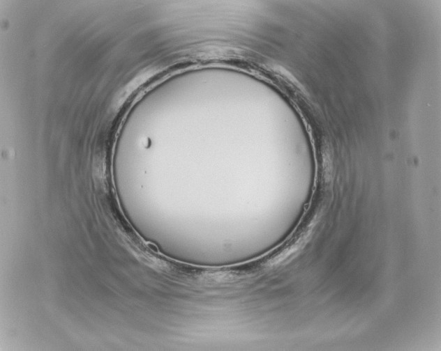 X0000070381065200607072148