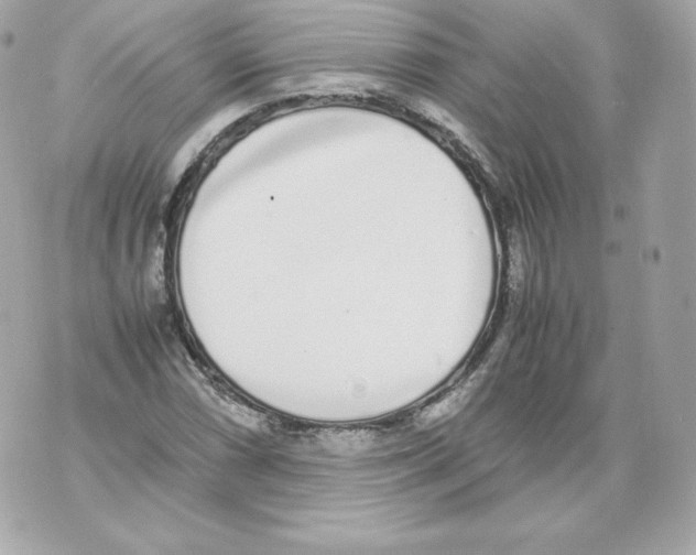 X0000070381066200607072148