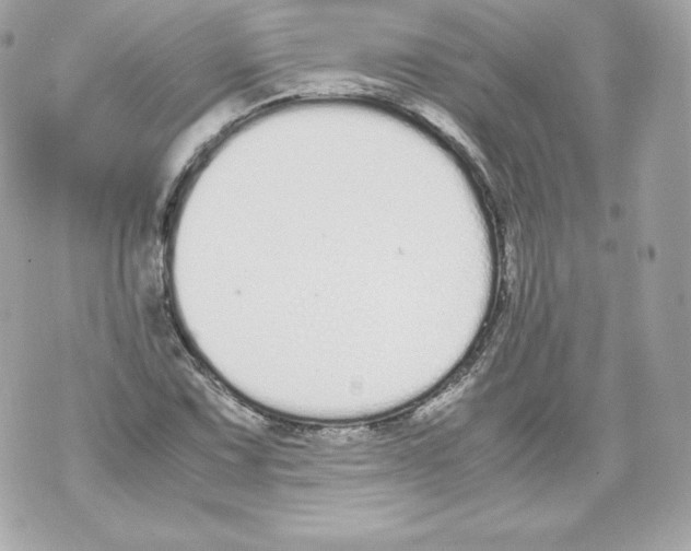 X0000070381067200607072148