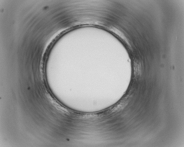 X0000070381068200607072148