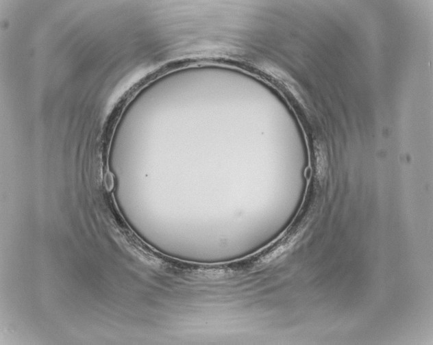 X0000070381069200607072148