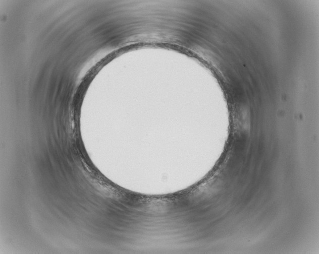 X0000070381070200607072148