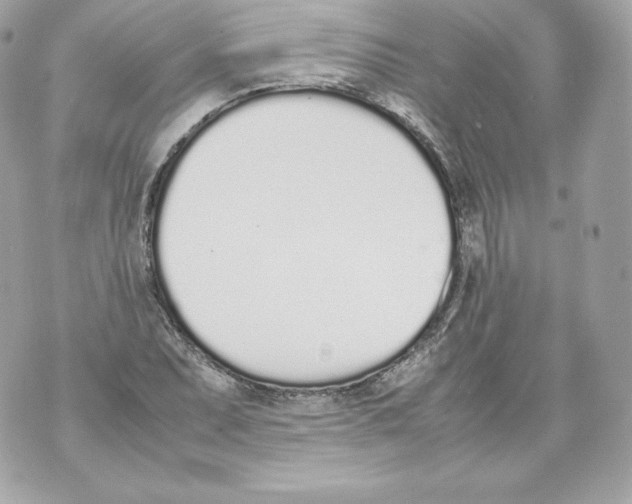 X0000070381071200607072148