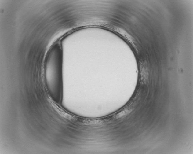 X0000070381072200607072148