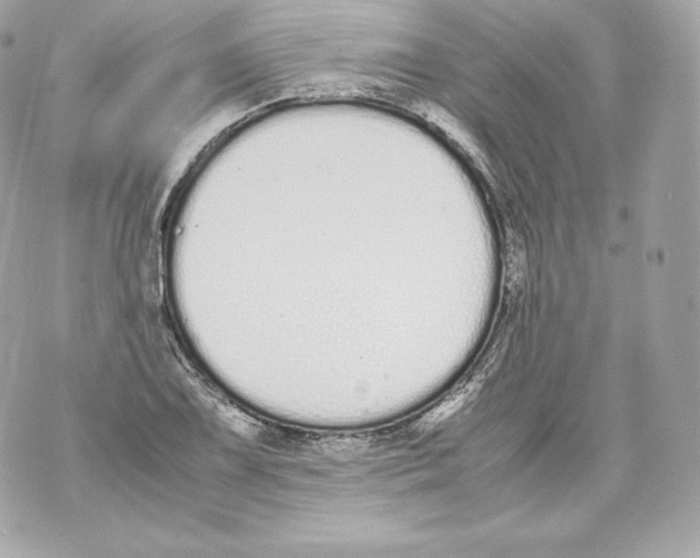 X0000070381075200607072148