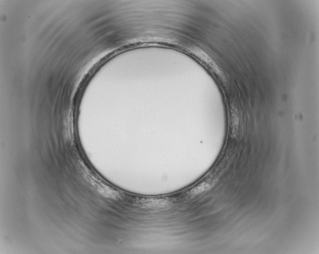 X0000070381076200607072148