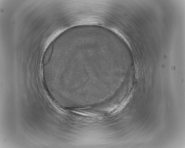 X0000070381077200607072148