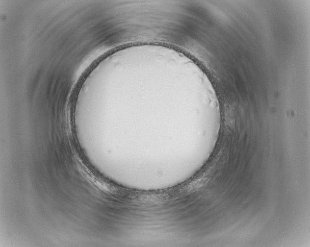 X0000070381078200607072148