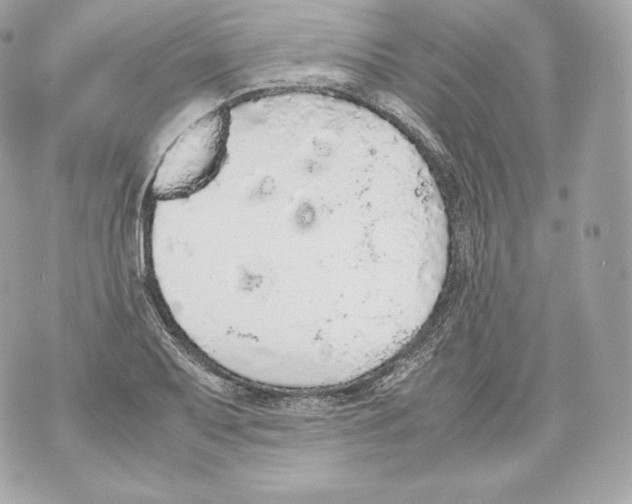 X0000070381079200607072148