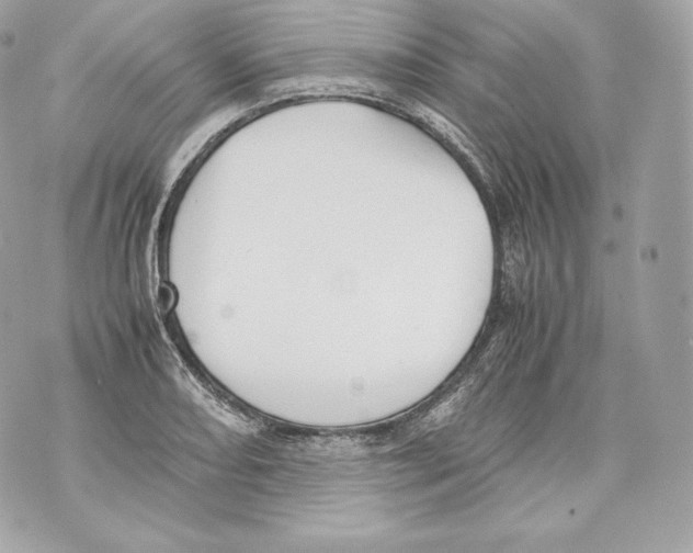 X0000070381082200607072148