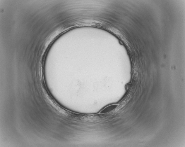 X0000070381083200607072148