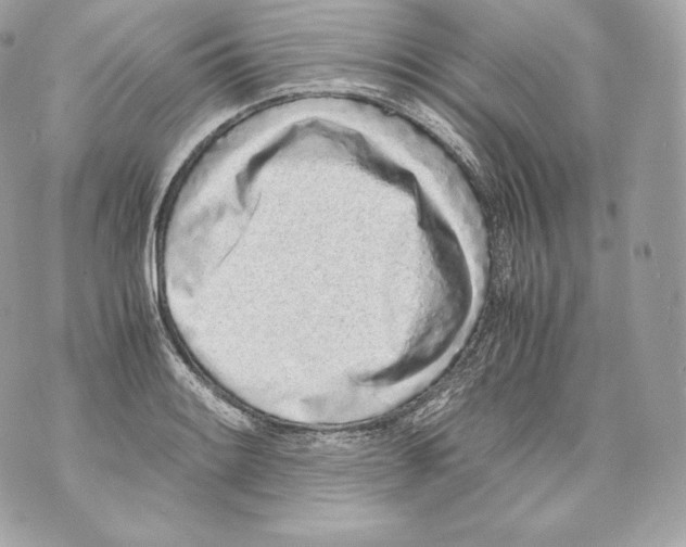 X0000070381084200607072148