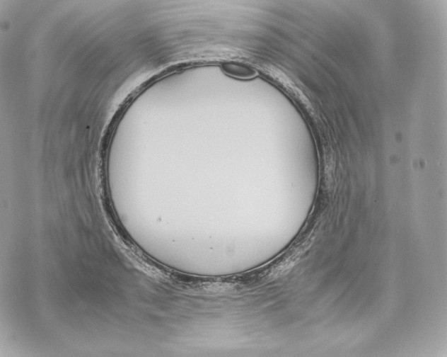 X0000070381085200607072148