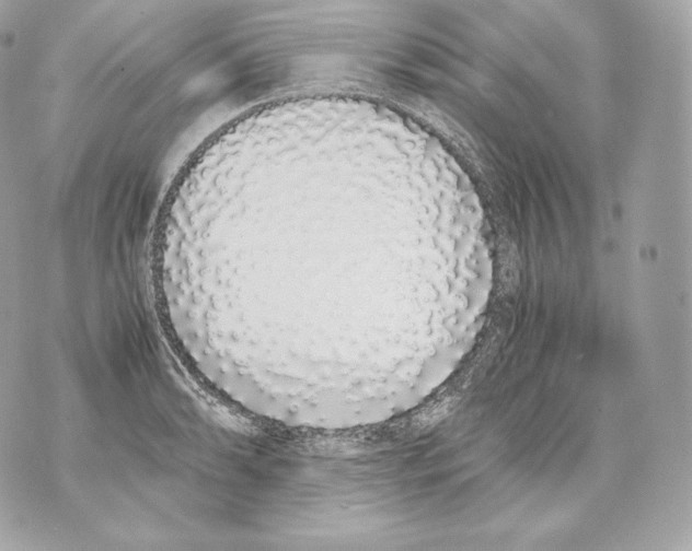 X0000070381086200607072148