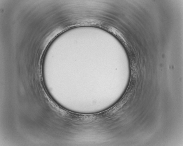 X0000070381087200607072148