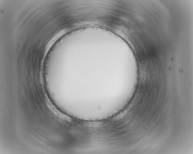 X0000070381090200607072148