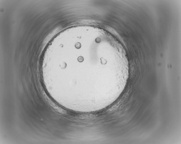 X0000070381091200607072148