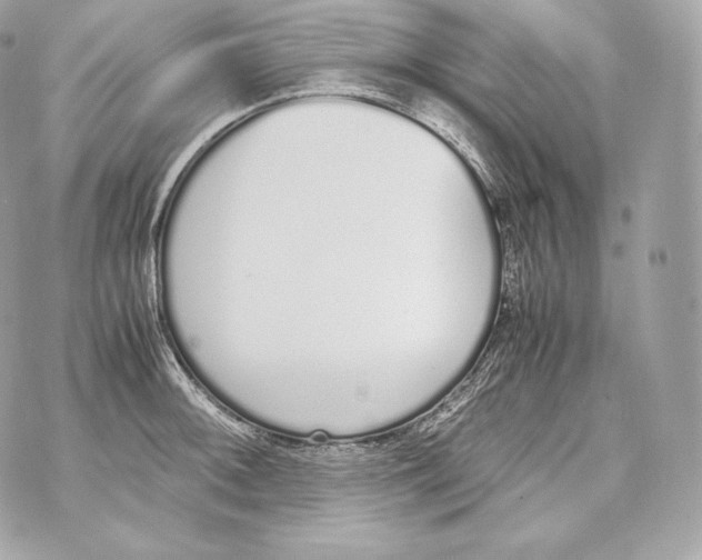 X0000070381092200607072148