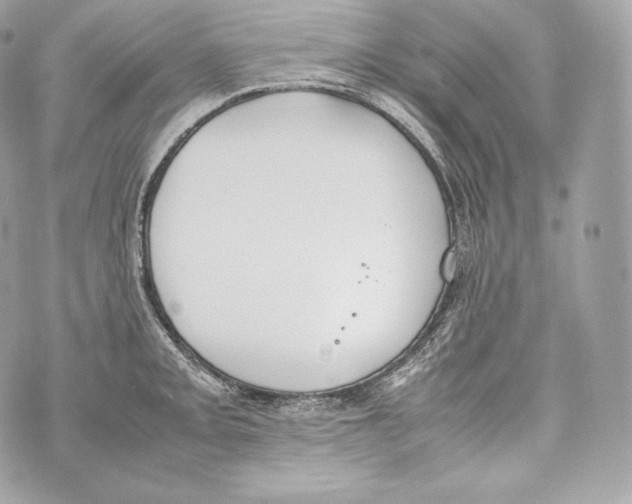 X0000070381093200607072148