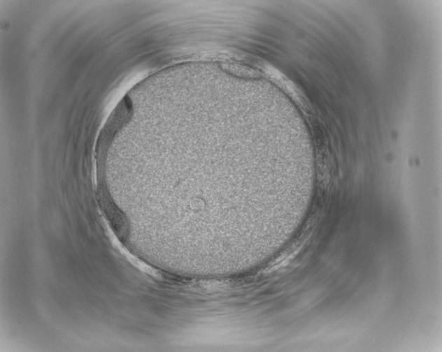 X0000070381095200607072148