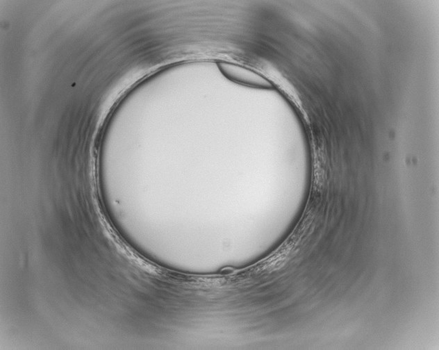 X0000070381096200607072148