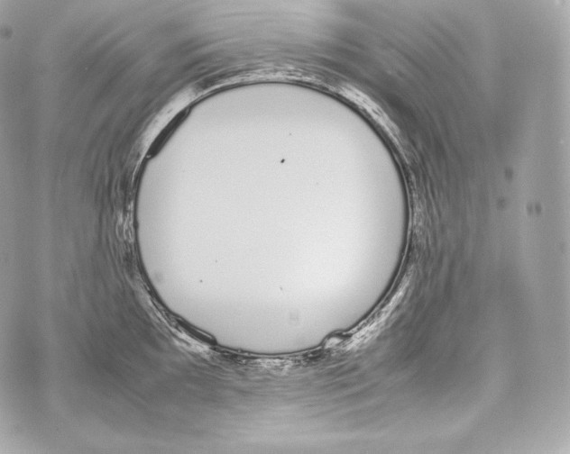 X0000070381097200607072148