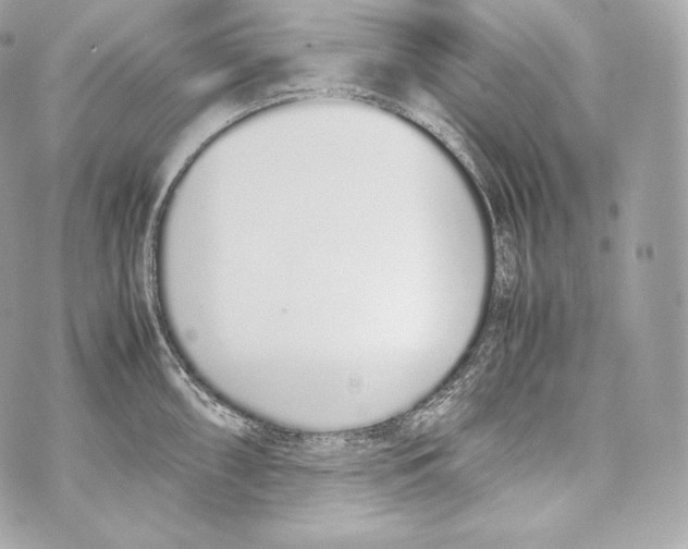 X0000070381098200607072148